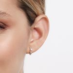 TAM.ÚNICO 5269690006-4