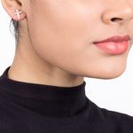 TAM.ÚNICO 5246040006-4