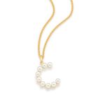 TAM.ÚNICO 5423480046-2