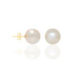 TAM.ÚNICO 5242850026-2