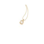 TAM.ÚNICO 5419880006-1