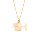 TAM.ÚNICO 5421830051-2