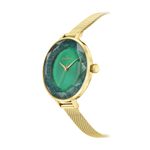 TAM.ÚNICO 6500490000-2