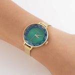 TAM.ÚNICO 6500490000-4