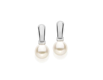 TAM.ÚNICO 1201460026-1