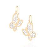 TAM.ÚNICO 5240260000-1