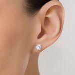 TAM.ÚNICO 8202960006-4