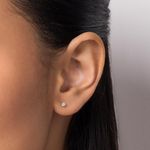 TAM.ÚNICO 8201230006-4