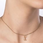 TAM.ÚNICO 5429540000-4