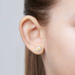 TAM.ÚNICO 5267110018-4