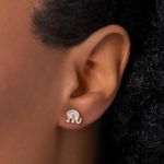 TAM.ÚNICO 5275600006-4