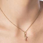 TAM.ÚNICO 5429490000-4