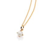 TAM.ÚNICO 5413360026-2