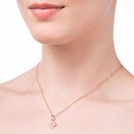 TAM.ÚNICO 5427290006-4