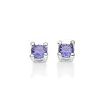 TAM.ÚNICO 8203000024-1