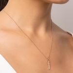 TAM.ÚNICO 5427870053-4